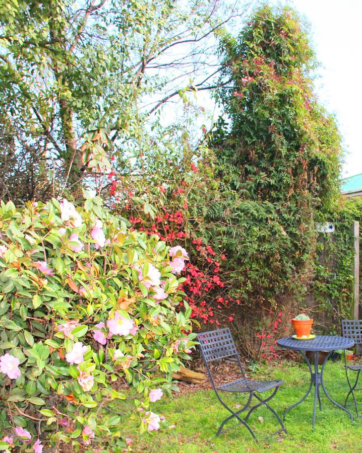 Bush Inn Court Motel Christchurch Ngoại thất bức ảnh